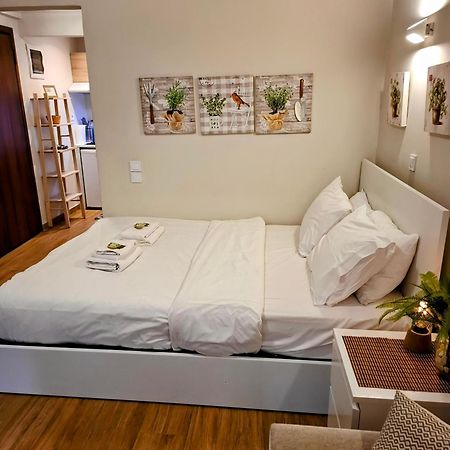 Studio Posh With Garden In Kolonaki Athens Luaran gambar