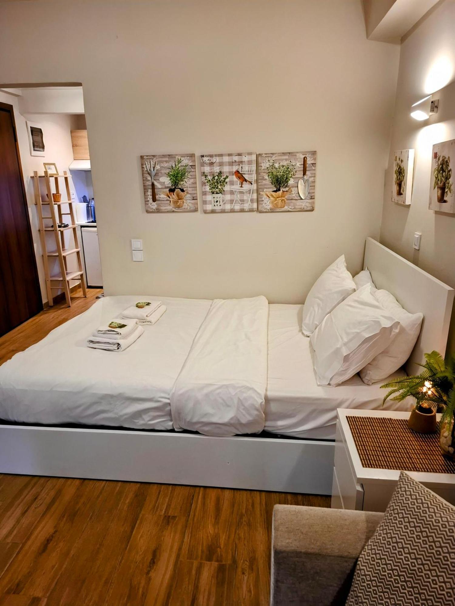 Studio Posh With Garden In Kolonaki Athens Luaran gambar